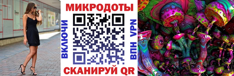 где найти наркотики  Сыктывкар  Псилоцибиновые грибы Cubensis 