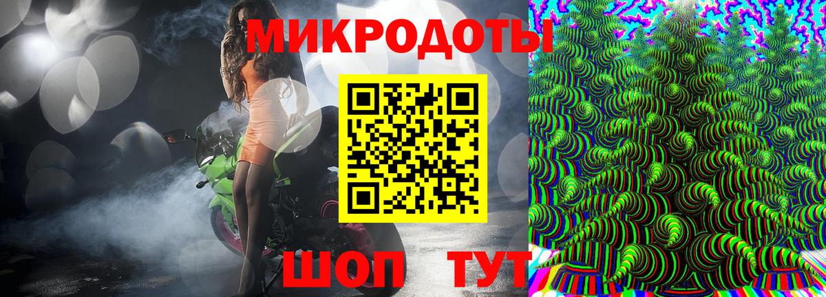 Псилоцибиновые грибы Psilocybine cubensis  Вход с VPN  Галлюциногенные грибы мицелий  Сыктывкар 