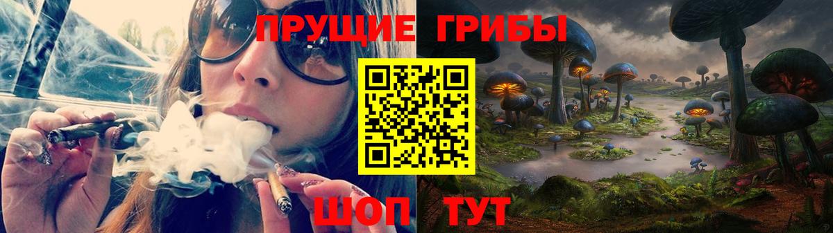 Галлюциногенные грибы Psilocybine cubensis Сыктывкар
